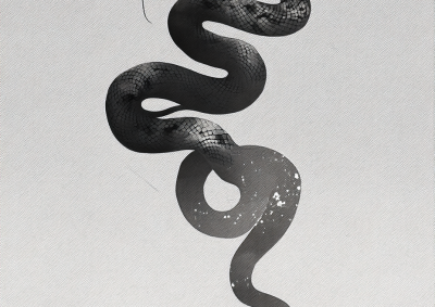 黑白蛇画