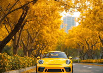 黄色保时捷911