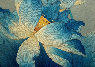 一朵莲花