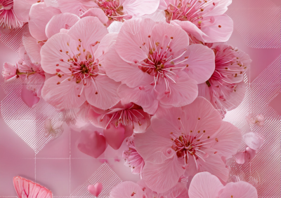 花花世界别样红