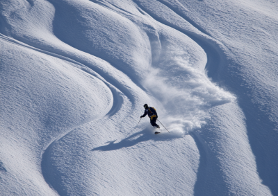 花草树木与雪山